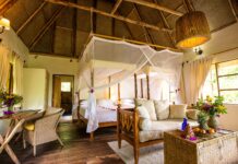 Fly-In Volcanoes Safari Lodges in Uganda Bwindi lodge