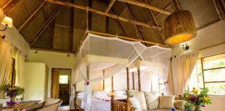Fly-In Volcanoes Safari Lodges in Uganda Bwindi lodge