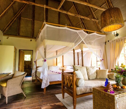 Bwindi lodge